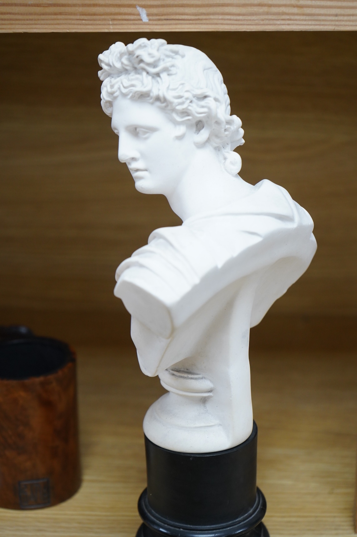 A 19th century plaster bust of Apollo Belvedere, 32cm